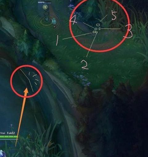 英雄联盟怎么插眼